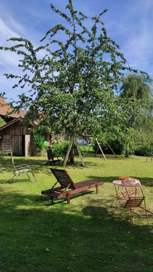 GITE AU PETIT RUISSEAU-Etage et combles-maison alsacienne 4 personnes 3 nuitées minimum Langensoultzbach Extérieur photo